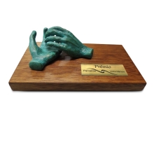 Prêmio Parceiros Voluntários